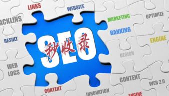 互聯網營銷實戰指南 破解網站收錄難題，實現銷售落地為王